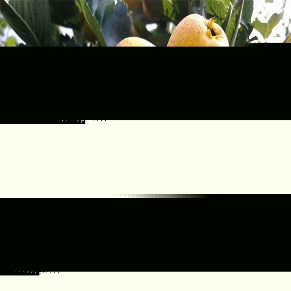 Sɽ